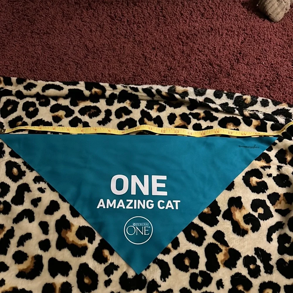 One Amazing Cat Bandana
